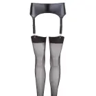 Cottelli Lingerie – wetlook suspender belt – black – M — Photo 7