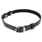 Sportsheets S&M Double Buckle Day Collar – Black / Gold — Photo 2