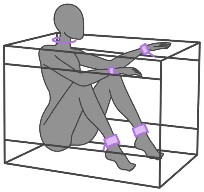 Secret Dome La Niche BDSM rotaļu kaste – violeta Foto 11