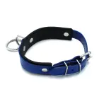 Black & Blue Leather Collar with Big O-Ring — Photo 5