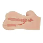 CRAZY BULL - Hannah, TPR мастурбатор с двумя отверстиями Фото num