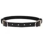 Sportsheets S&M Double Buckle Day Collar – Black / Gold — Photo 1