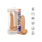 CalExotics Studs dildo – 15 cm (6″) – nahavärv — Foto 4