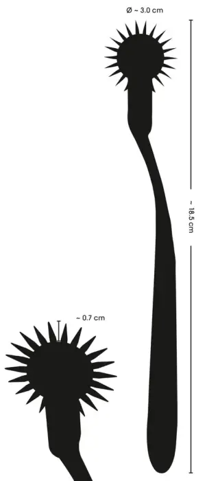 Single Pinwheel Silver Photo