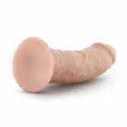Dr. Skin Vanilla Anatomical Model with Suction Cup Base – 20.3 cm (8″) — Photo 4