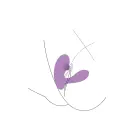 DuoVibe I Air & G-Spot Vibrator – Purple — Photo 8