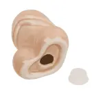 Niegrzeczne Solniczki Peniski – Pikantny Akcent na Każdym Stole Фото num