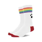 Pride Socks - White/Pride Foto 1