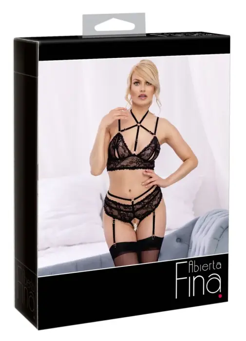 Abierta Fina Bralette and Crotchless Suspender Briefs Set – Black – XL