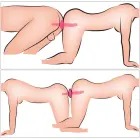 Couples Choice 2in1 Vibrators + anālās tampona – melns Foto 11