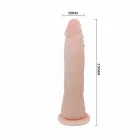 Baile Fit Anatomical Dildo – 20.1 cm (7.9″) — Photo 6