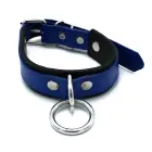Black & Blue Leather Collar with Big O-Ring — Photo 7