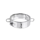 Kiotos Stainless Steel D-Ring Collar — Photo 1