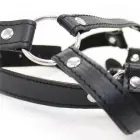 Toez4Lovers Fetish Art Head Harness with O-Ring Gag — Photo 3